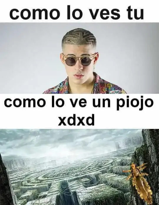 meme bad bunny como lo ves tu como lo ve un piojo.webp