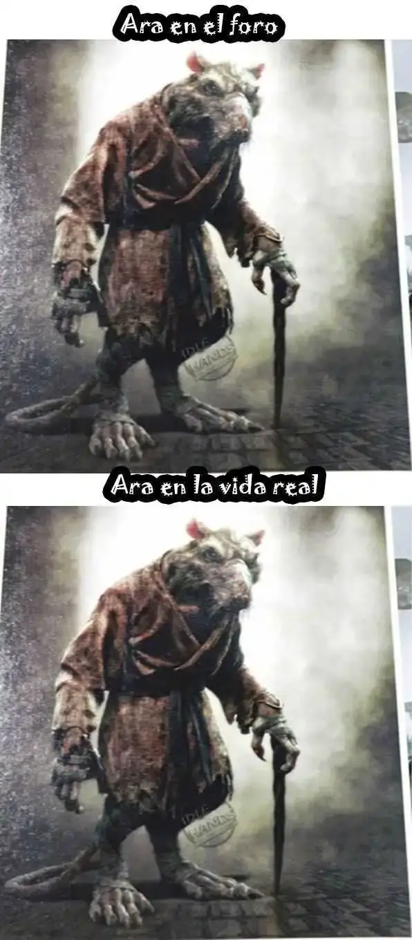 ara antes y después.webp